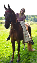 Load image into Gallery viewer, Louisville Cashmere Shawl