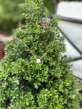 Load image into Gallery viewer, 10 Year Anniversary Sterling Silver Horse Head Charm Necklace